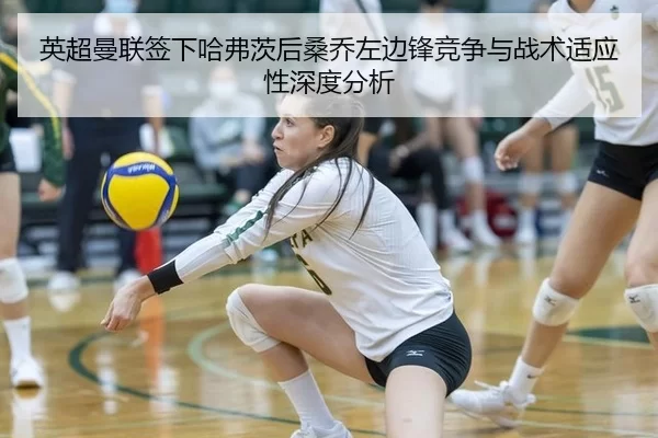 ying-chao-man-lian-qian-xia-ha-fu-ci-hou-sang-qiao-zuo-bian-feng-jing-zheng-yu-zhan-shu-shi-ying-xing-shen-du-fen-xi-2-357.jpg