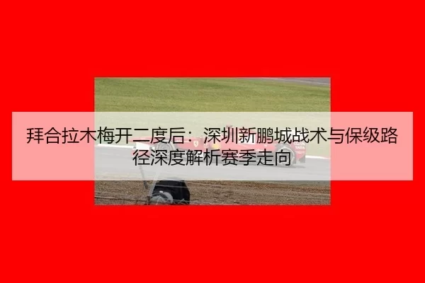 拜合拉木梅开二度后：深圳新鹏城战术与保级路径深度解析赛季走向