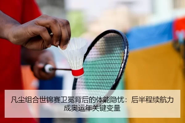 fan-chen-zu-he-shi-jin-sai-wei-mian-bei-hou-de-ti-neng-yin-you-hou-ban-cheng-xu-hang-li-cheng-ao-yun-nian-guan-jian-2-795.jpg